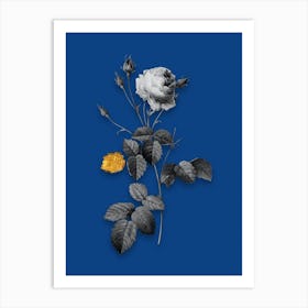 Vintage Provence Rose Black and White Gold Leaf Floral Art on Midnight Blue n.0531 Art Print