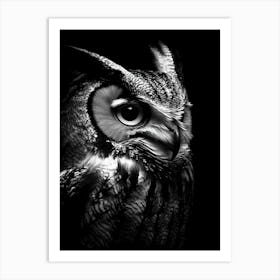 Portrait Of A Owl Art Print