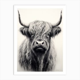 Details Black & White Illustration Of Highland Cow Art Print