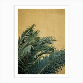 Golden Palms Art Print