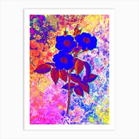 Rose of Castile Botanical in Acid Neon Pink Green and Blue n.0223 Art Print