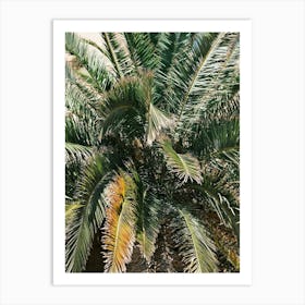 Close Up Palm // Ibiza Nature & Travel Photography Art Print