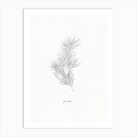 Pine Branch Line Drawing 1 Art Print