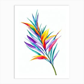 Bird Of Paradise Watercolour Flower Art Print