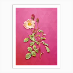 Vintage Sparkling Rose Botanical Art on Beetroot Purple n.0860 Art Print