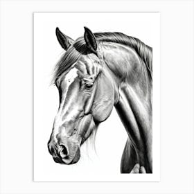 Highly Detailed Pencil Sketch Portrait of Horse with Soulful Eyes 3 Art Print