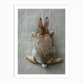 Bunny Rabbit Art Print