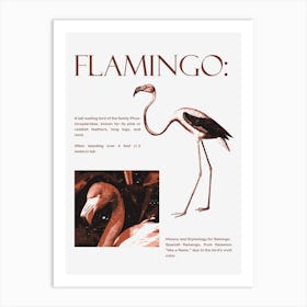 Flamingo Art Print