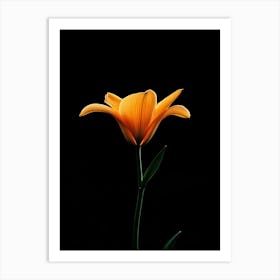 Orange Lily 1 Art Print