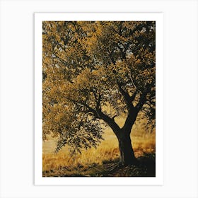 Lone Tree 11 Art Print