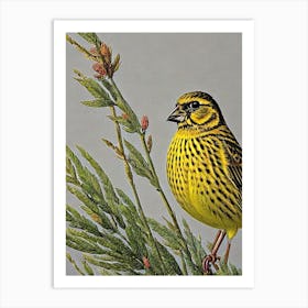 Yellowhammer Haeckel Style Vintage Illustration Bird Art Print