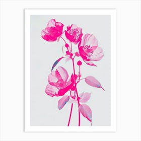 Hot Pink Veronica Flower 1 Art Print