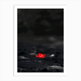 Single Red Flower 18 Art Print