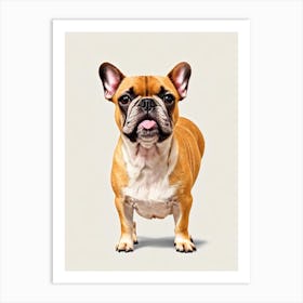 French Bulldog Illustration Dog Art Print
