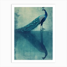 Turquoise Cyanotype Inspired Peacock & Reflection Art Print