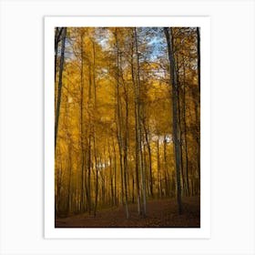 Autumn Forest 94 Art Print