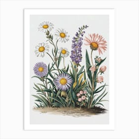 A Botanical Illustration Of Wildflowers  Póster