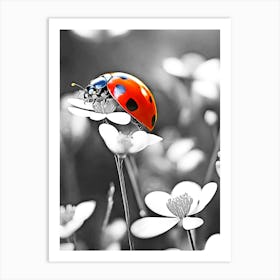 Ladybug On A Flower 2 Art Print