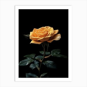 Yellow Rose 2 Art Print