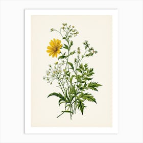 Vintage Botanical Galleria Style Wildflower Painting 27 Art Print