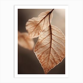 Leaf Macro Art Print