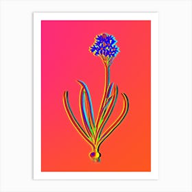 Neon Arabian Starflower Botanical in Hot Pink and Electric Blue Art Print