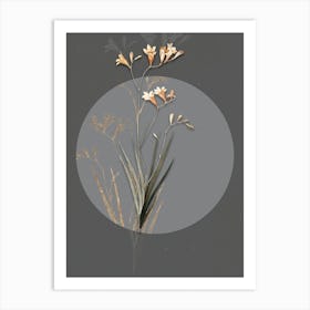 Vintage Botanical Freesia on Circle Gray on Gray n.0324 Art Print