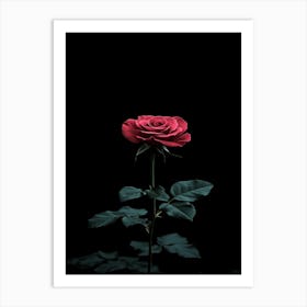 Dark Rose 61 Art Print