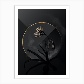 Shadowy Vintage Amaryllis Broussonetii Botanical in Black and Gold Art Print