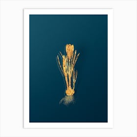 Vintage Spring Crocus Botanical in Gold on Teal Blue n.0088 Art Print