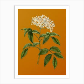 Vintage Elderberry Flowering Plant Botanical on Sunset Orange Art Print