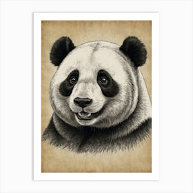 Panda Bear 30 Art Print