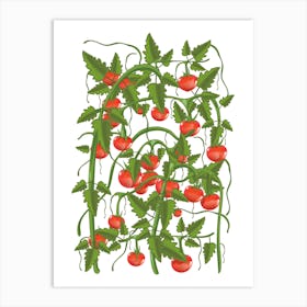 Tomato Plant Art Print