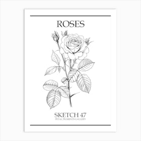 Roses Sketch 47 Poster Art Print