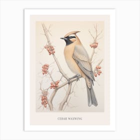 Vintage Bird Drawing Cedar Waxwing 2 Poster Art Print