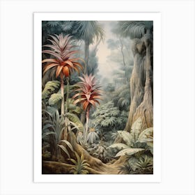 Vintage Jungle Botanical Illustration Bromeliads 1 Art Print