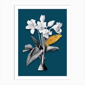 Vintage Crinum Giganteum Black and White Gold Leaf Floral Art on Teal Blue Art Print