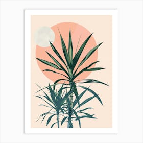 Dracaena Plant Minimalist Illustration 3 Art Print