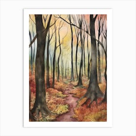 Autumn Forest Landscape Black Forest Germany 2 Art Print