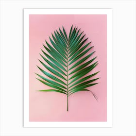 Palm Leaf On Pink Background 10 Art Print