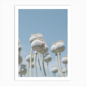 Vintage botanical poppy flowers - bulbs with a retro touch - nature and travel photography by Christa Stroo Photography Art Print