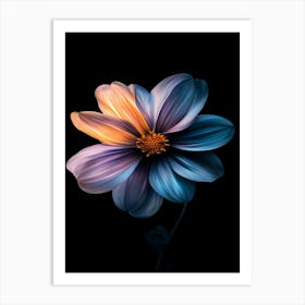 Dahlia Flower 2 Art Print