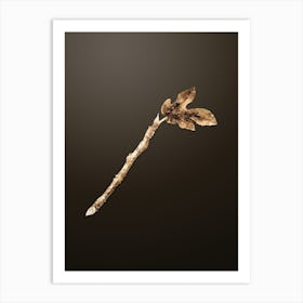 Gold Botanical Fig on Chocolate Brown n.1258 Art Print