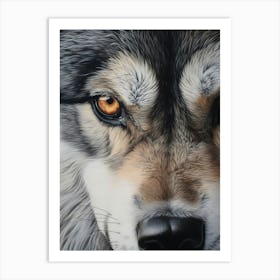 Honshu Wolf Eye 2 Art Print