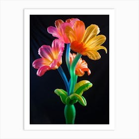 Bright Inflatable Flowers Gaillardia 3 Art Print