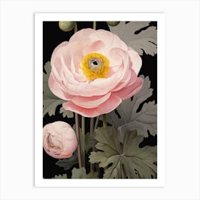 Flower Illustration Ranunculus 3 Art Print