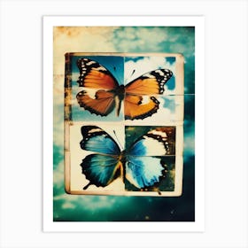Butterfly Collage Polaroid Picture Art Print