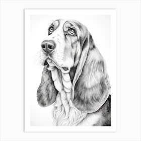 Basset Hound Dog, Line Drawing 1 Art Print