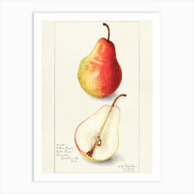 Pears 1 Art Print