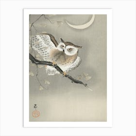 Long Eared Owl In Ginkgo, Ohara Koson Vintage Japanese Art Print